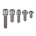 Paragon Bolt PRG-Ti Titanium Headset M6x29mm 1ea