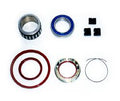 Hadley Freehub Rebuild Kit Sram XX1
