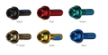 Alero Brake Caliper Screw