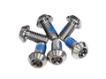 Alero Titan Rotor Screw 6pcs