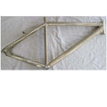 Quantec Frame MTB Scandium