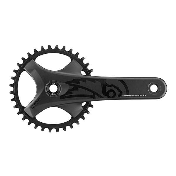 Campagnolo Ekar GT 13speed Crank Set 170MM 38T