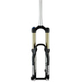 RockShox Lyrik RC2DH Coil 170 Maxle LiteFR20 Black Mission Control DH Aluminum Steerer Tapered Disc