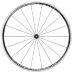Campagnolo Khamsin Asymmetric Clincher