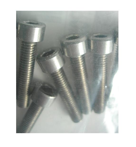 Lindstrom Metric M5x16mm Stainless Bolt Bicycle