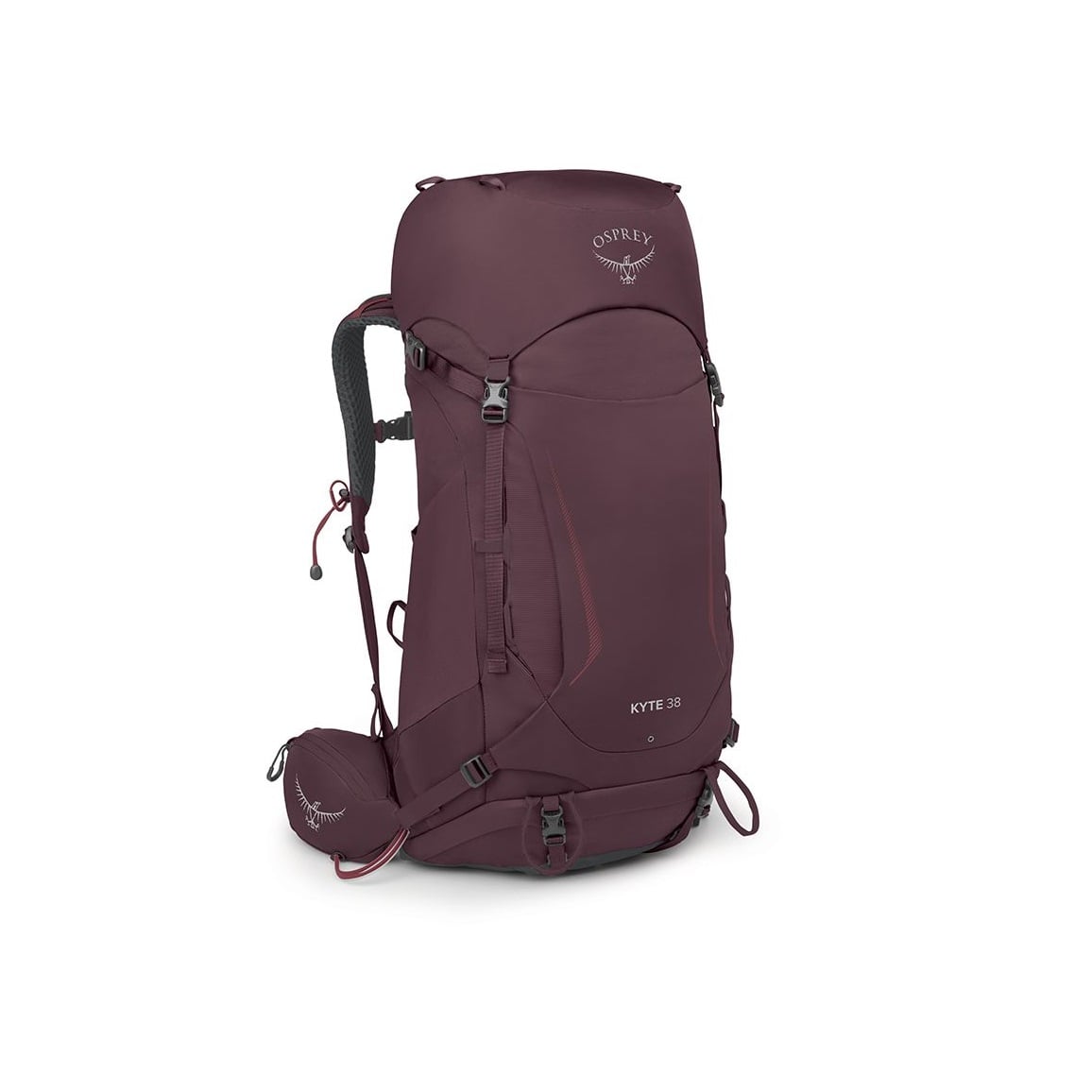 Osprey Kyte 38 BackPack 38L Elderberry Purple