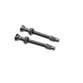 Profile Design Tubeless Valve Set 2ea 1Set