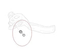 Shimano BL-M988 Lever Axle Fixing Bolt Cap Y8V398040