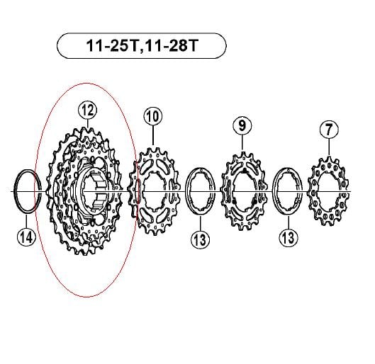 Shimano CS-6700 Sprocket Part 21-24-28T Y1YX98060