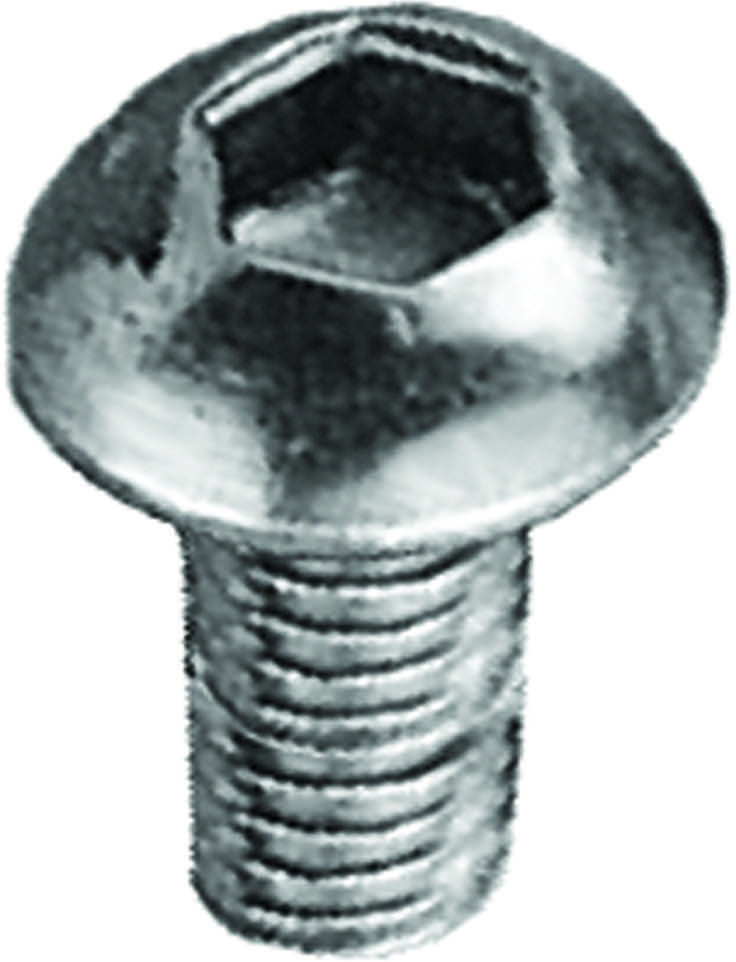 BOLT BUTTONHEAD ACTION 6X12MM 10PC